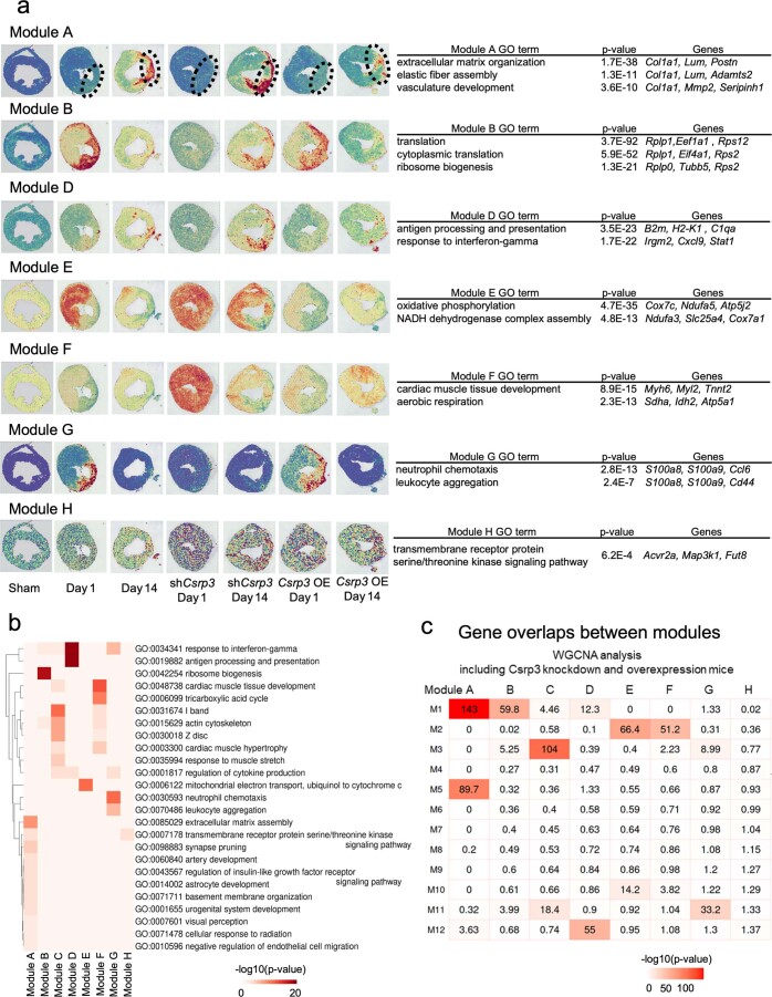 Extended Data Fig. 9