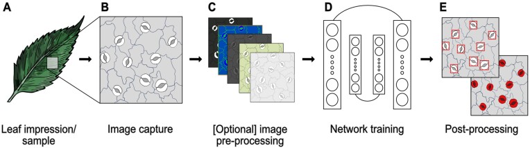 Fig. 2.