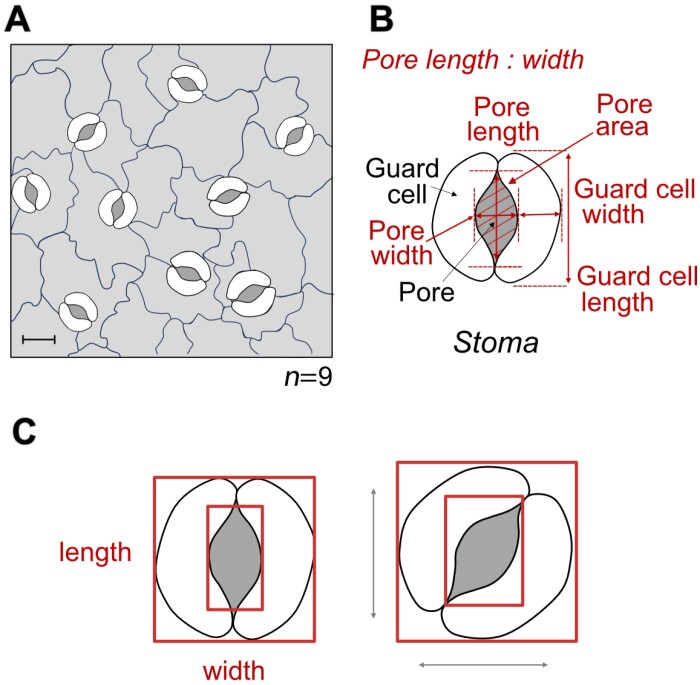 Fig. 3.