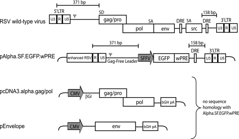 FIG. 1.