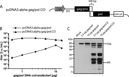 FIG. 3.