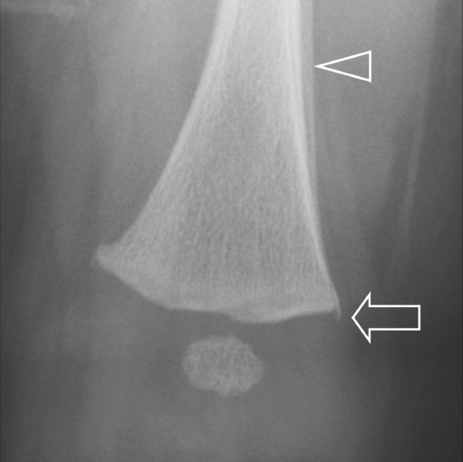 Fig. 7