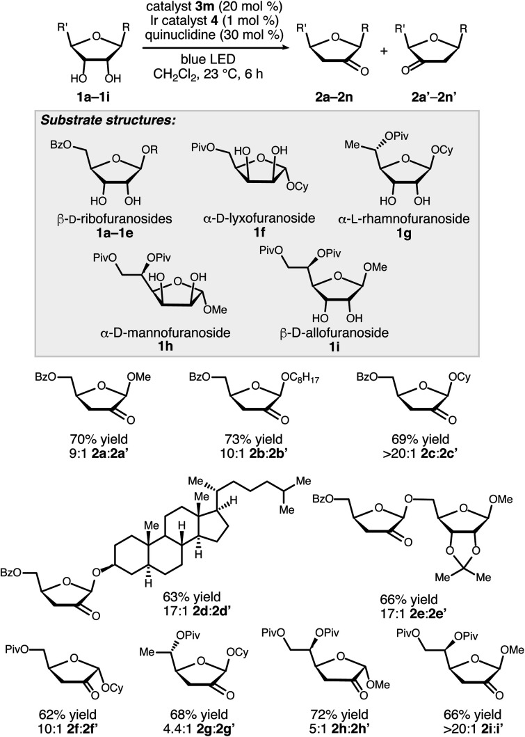 Scheme 3