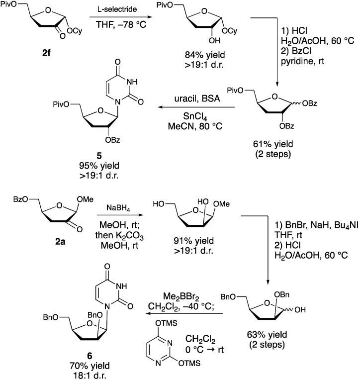 Scheme 5