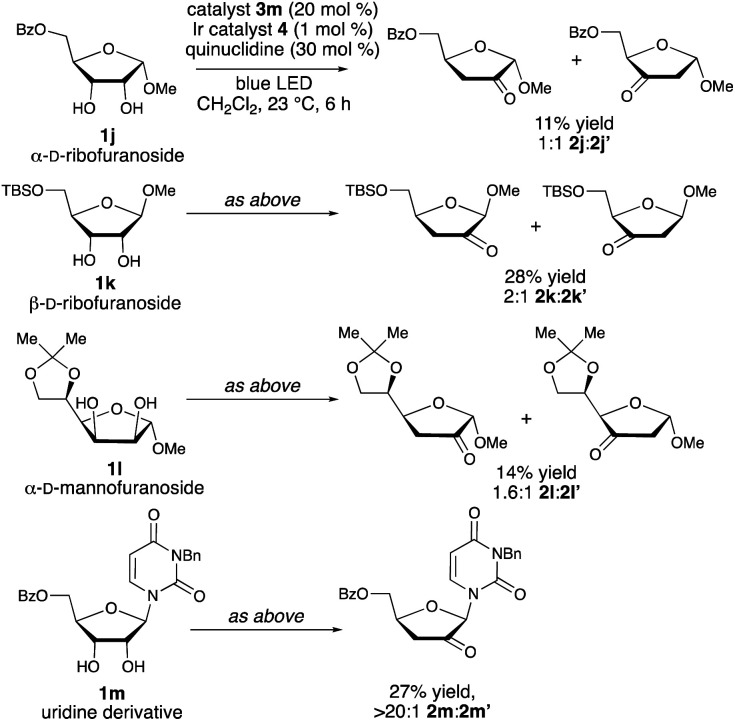 Scheme 4