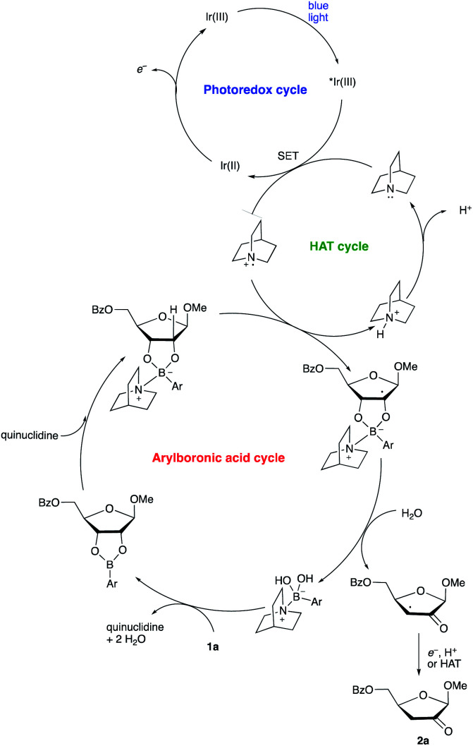 Scheme 6