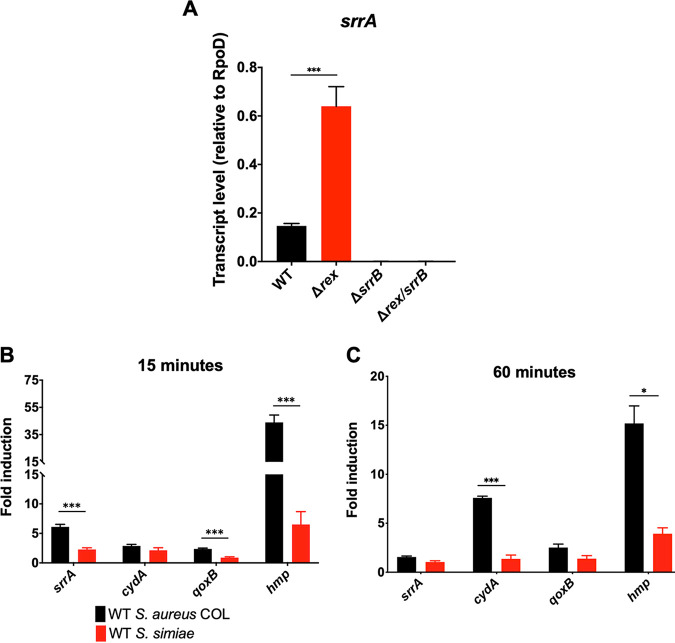 FIG 3