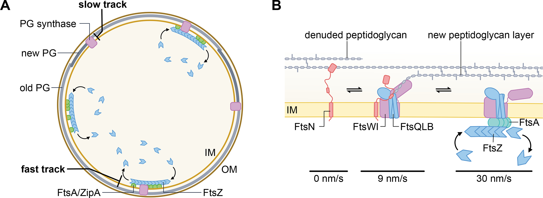 Fig. 4.