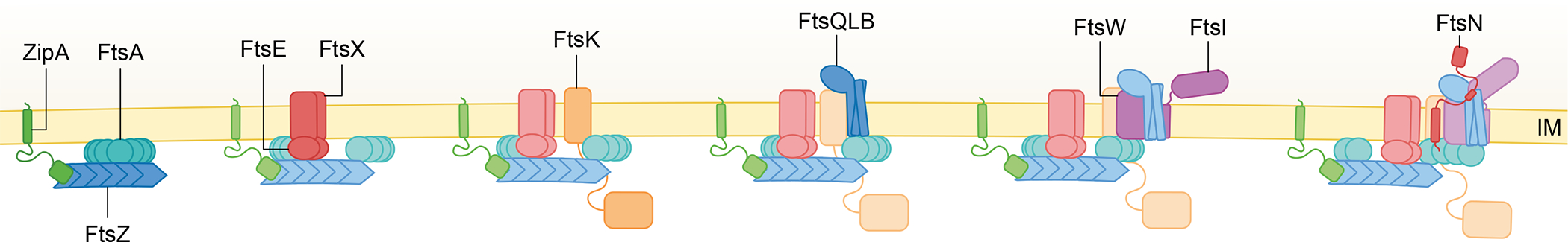 Fig. 2.