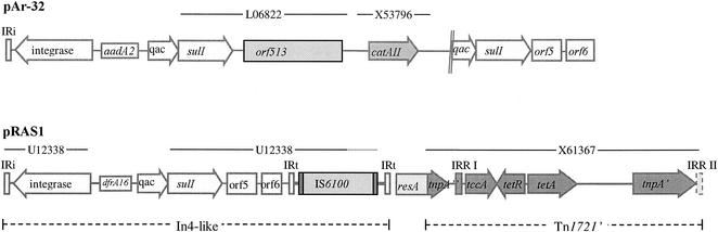 FIG. 2.