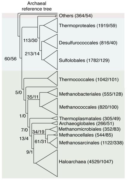 Extended Data Figure 7