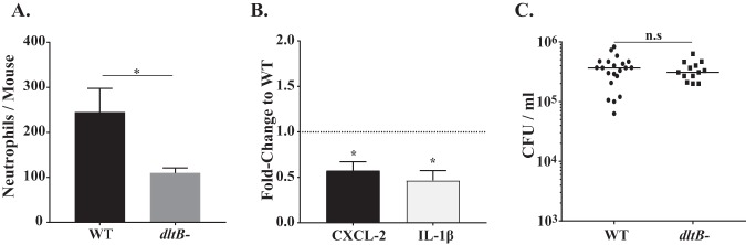 FIG 3