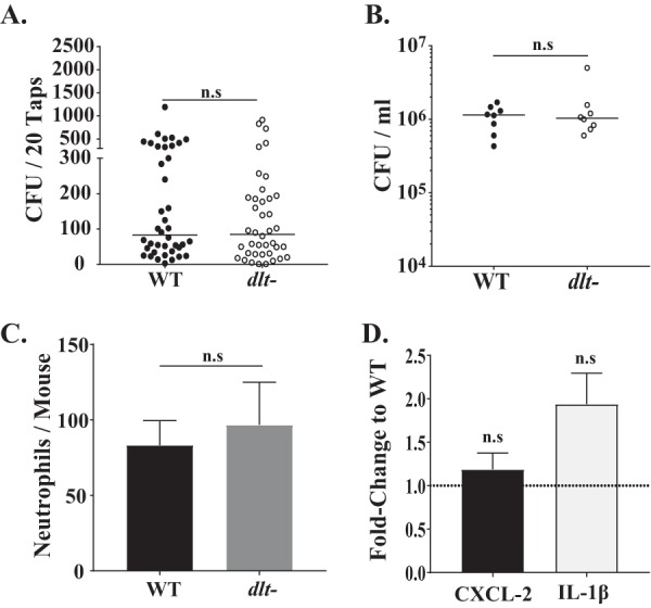 FIG 4