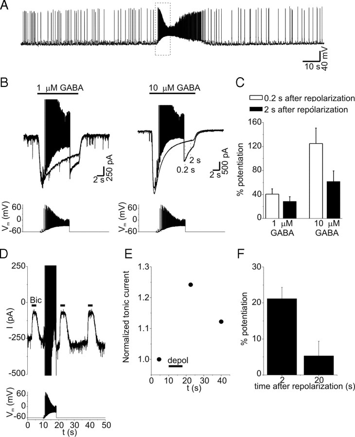 Figure 11.