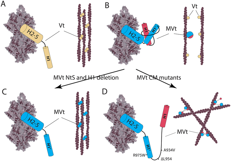 Figure 7: