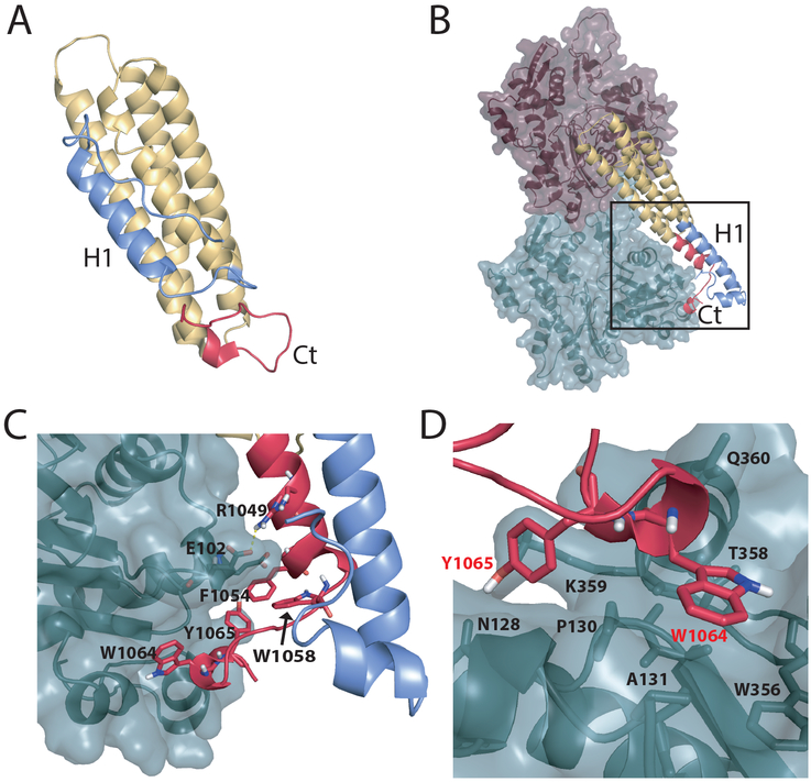 Figure 1: