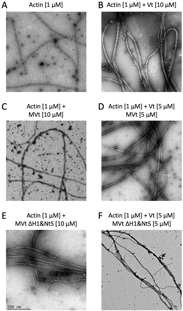 Figure 5: