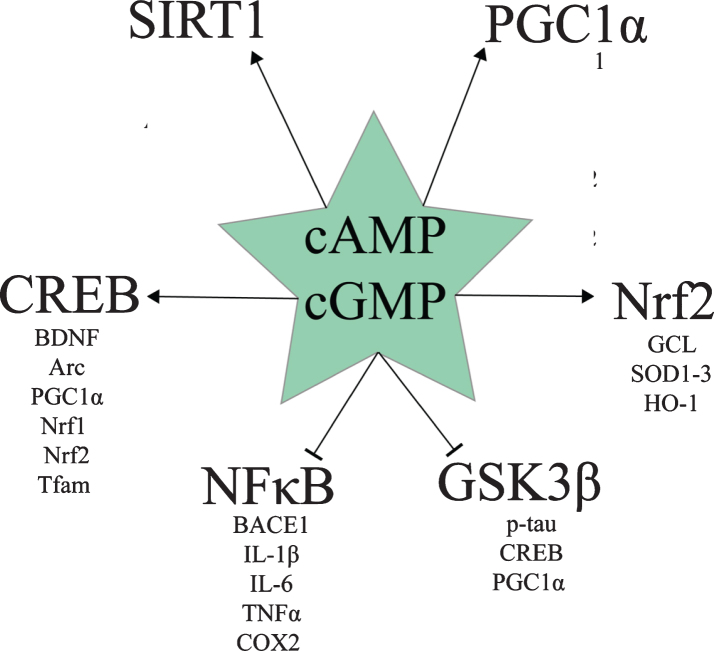 Fig.1