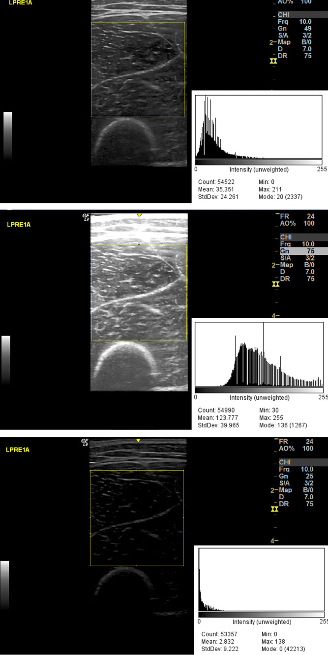 Fig. 2