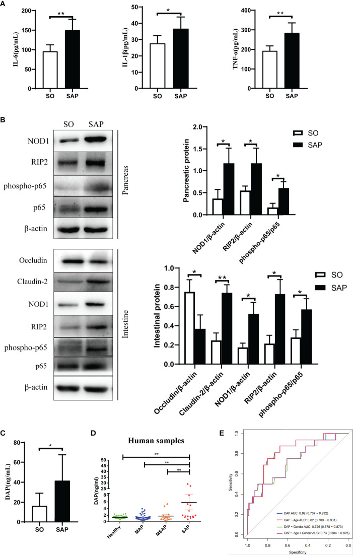 Figure 2