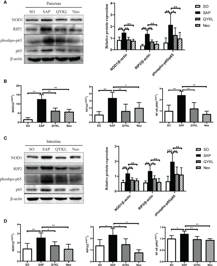 Figure 5