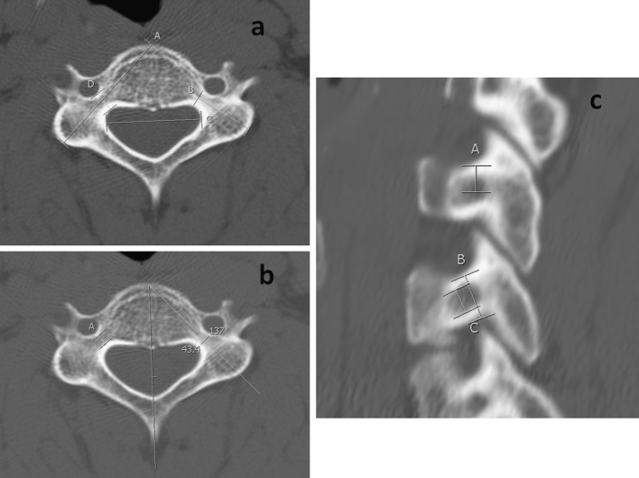 Fig. 1