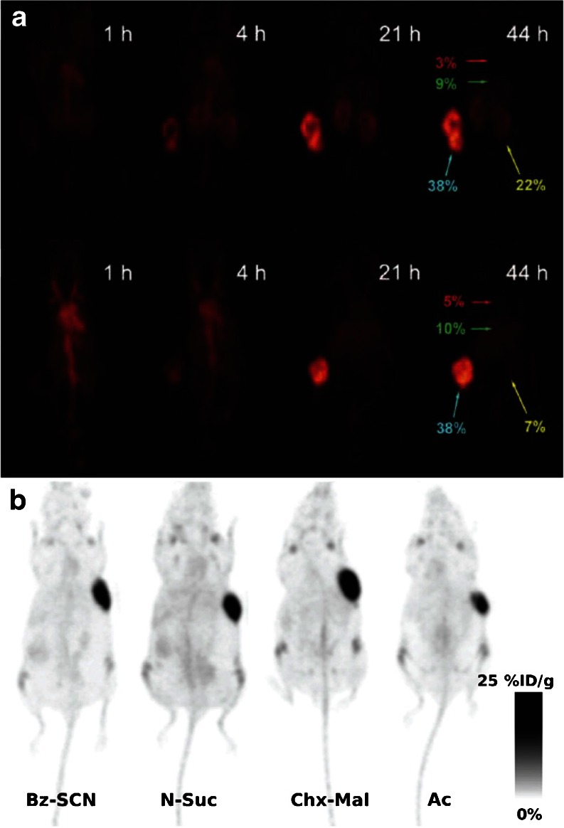 Fig. 5