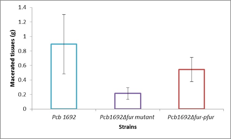 Fig 5