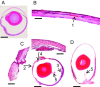 Fig. 6.
