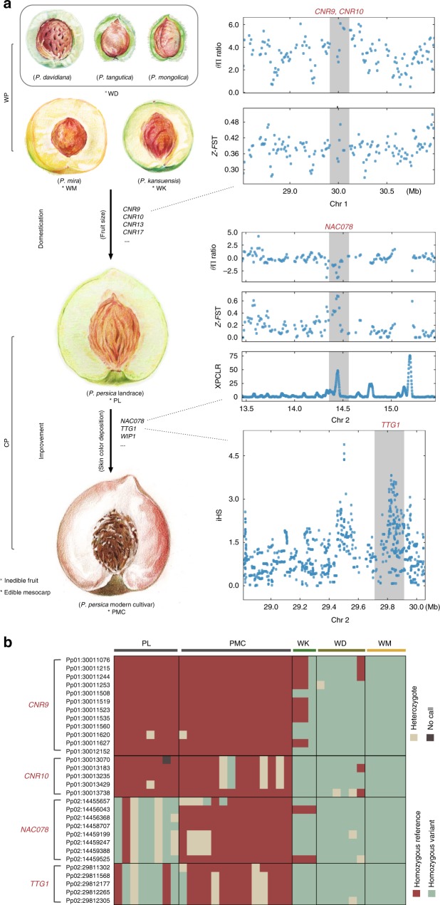 Fig. 6