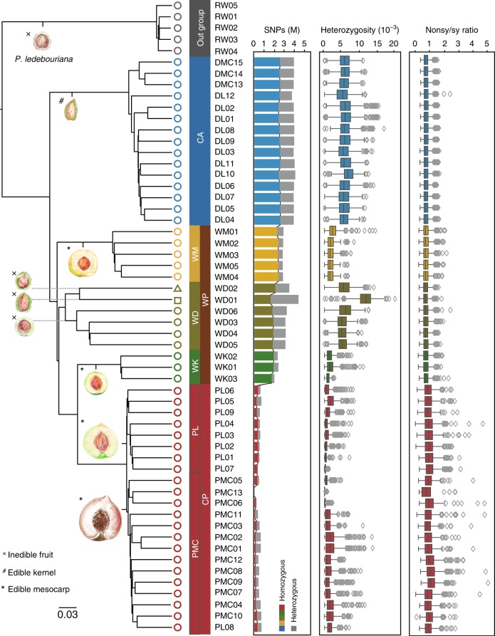 Fig. 2