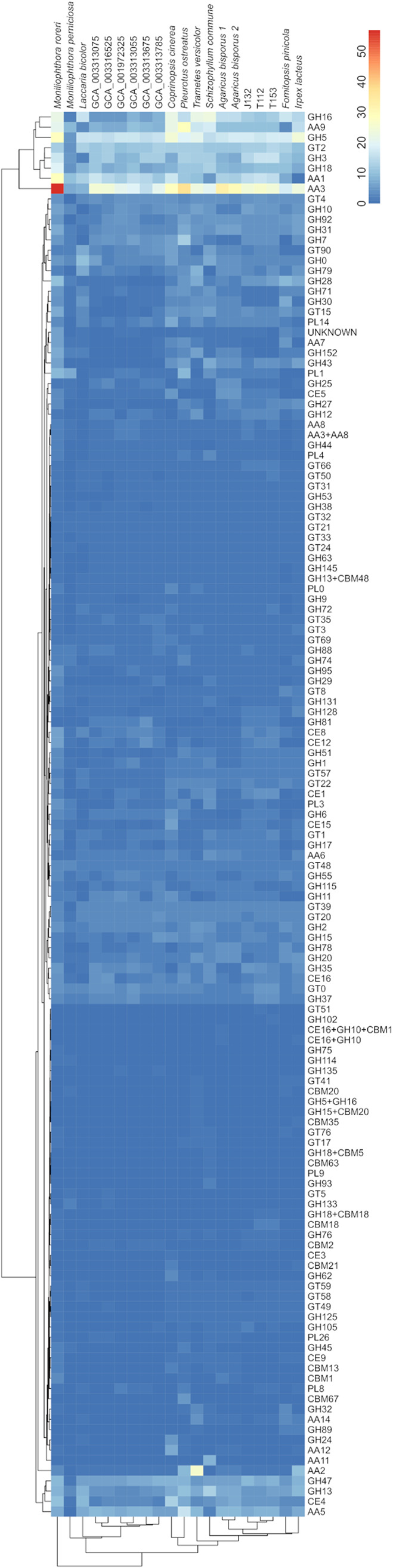 FIG 2