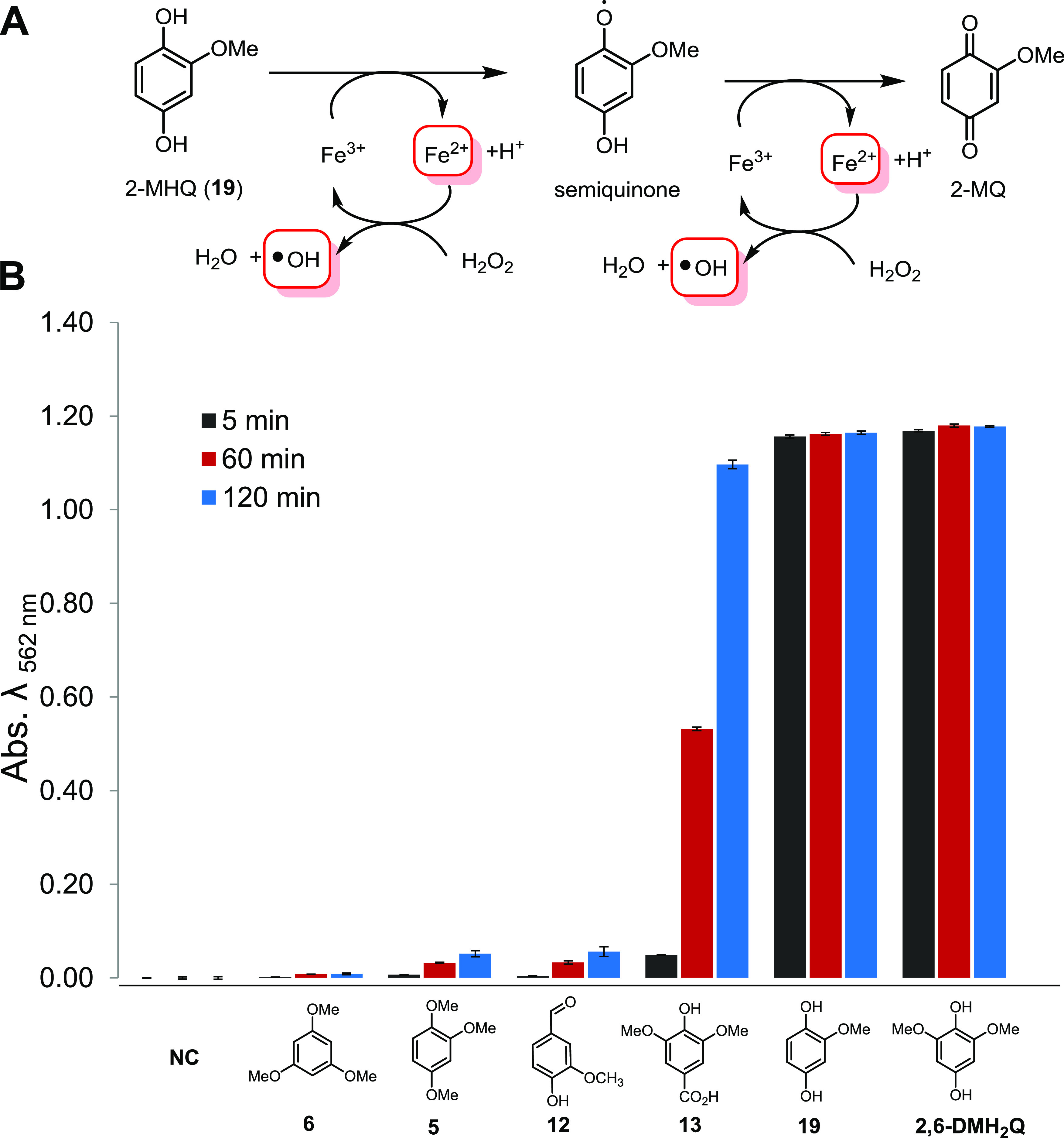 FIG 6