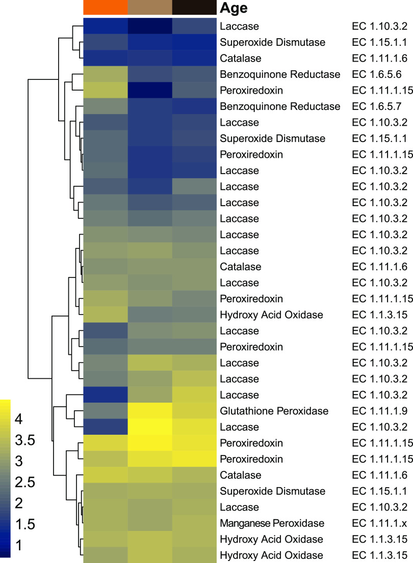 FIG 3