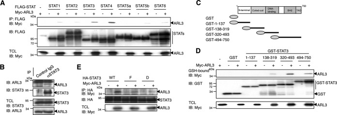 FIGURE 1.