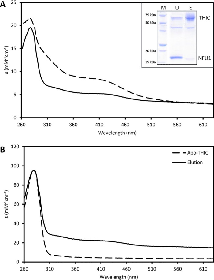 Figure 6.