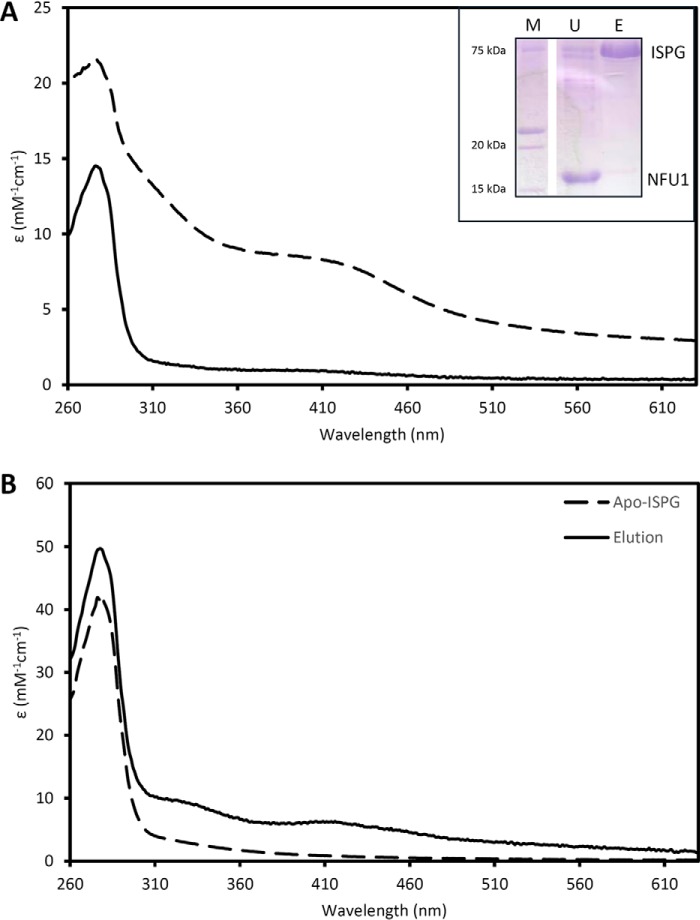 Figure 5.