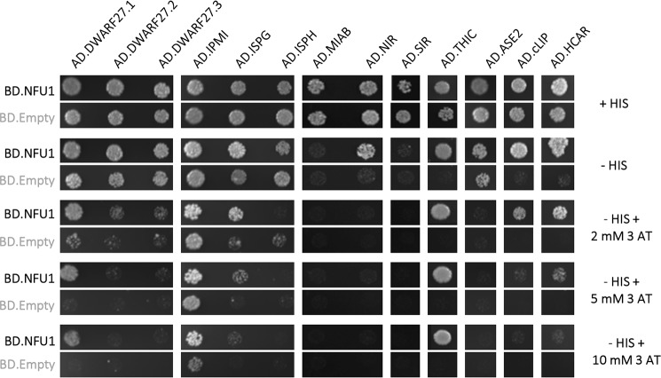 Figure 3.