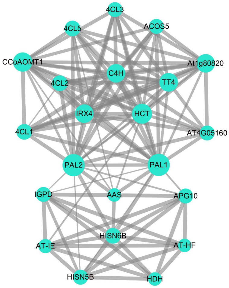 Figure 5