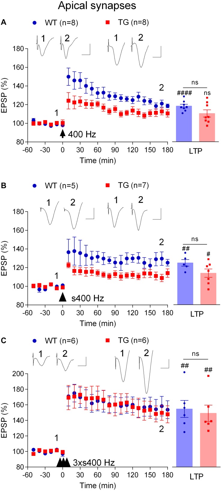 FIGURE 3