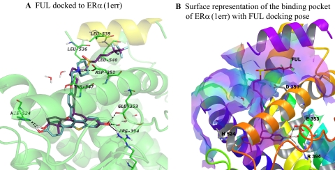 Fig. 7.