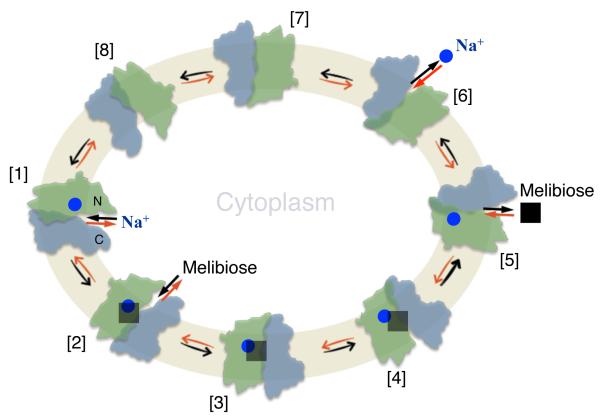 Figure 7