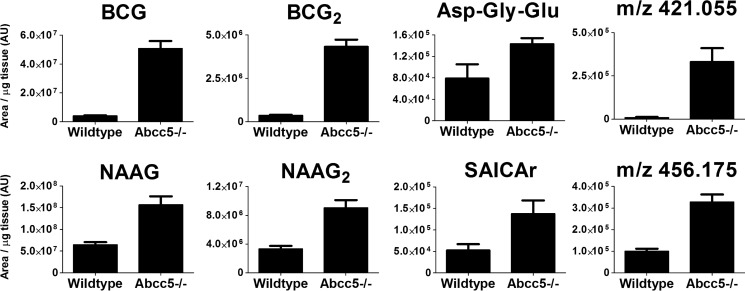 FIGURE 4.