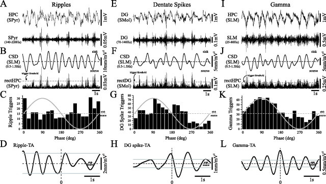 Figure 10.