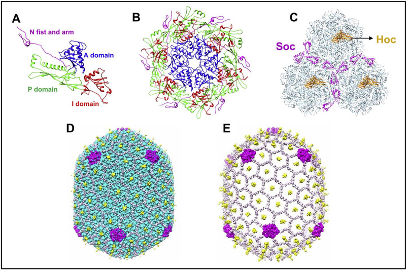 Fig. 3.