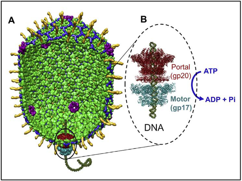 Fig. 4.