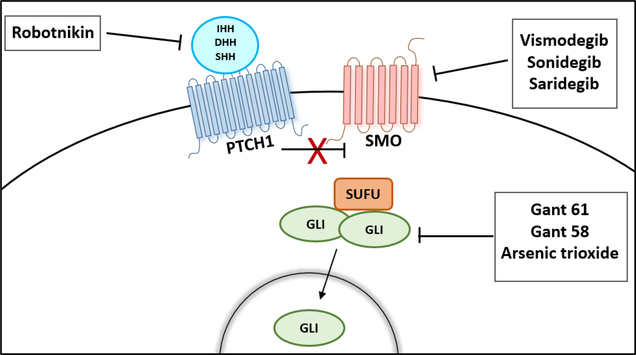 Figure 3: