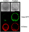 Figure 6: