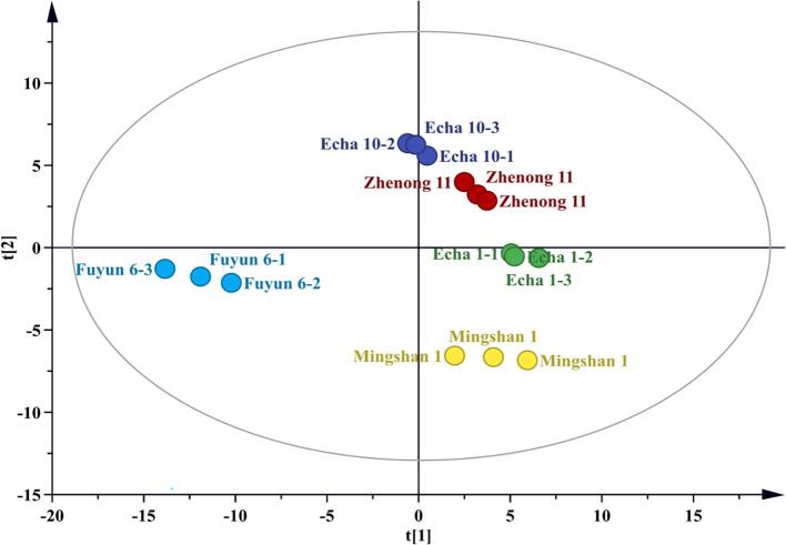 Fig. 3