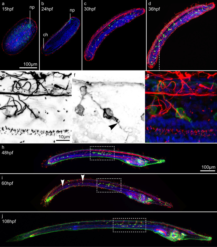 Fig. 3